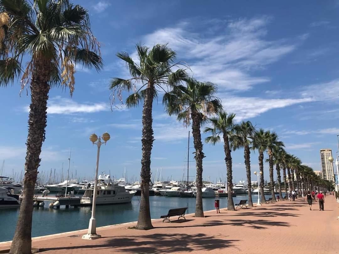 Apartamento Casaturis En El Corazon De Alicante A118 エクステリア 写真